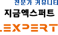 엑스퍼트(전문가)